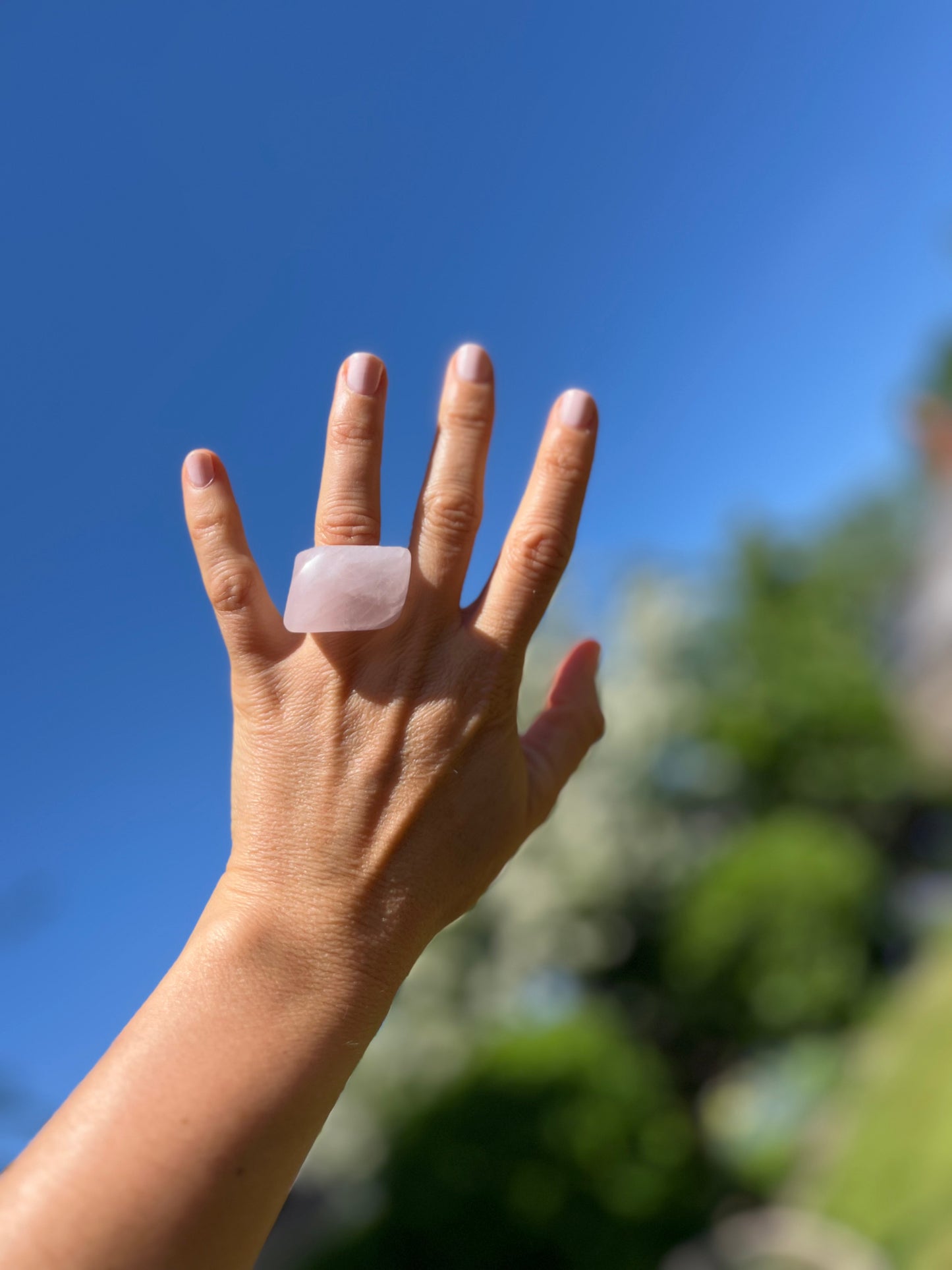 “The Rose Embrace” Smooth Rose Quartz Statement Ring