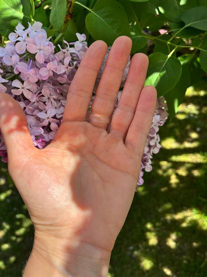 “The Crystal Embrace” Smooth Crystal Quartz Statement Ring