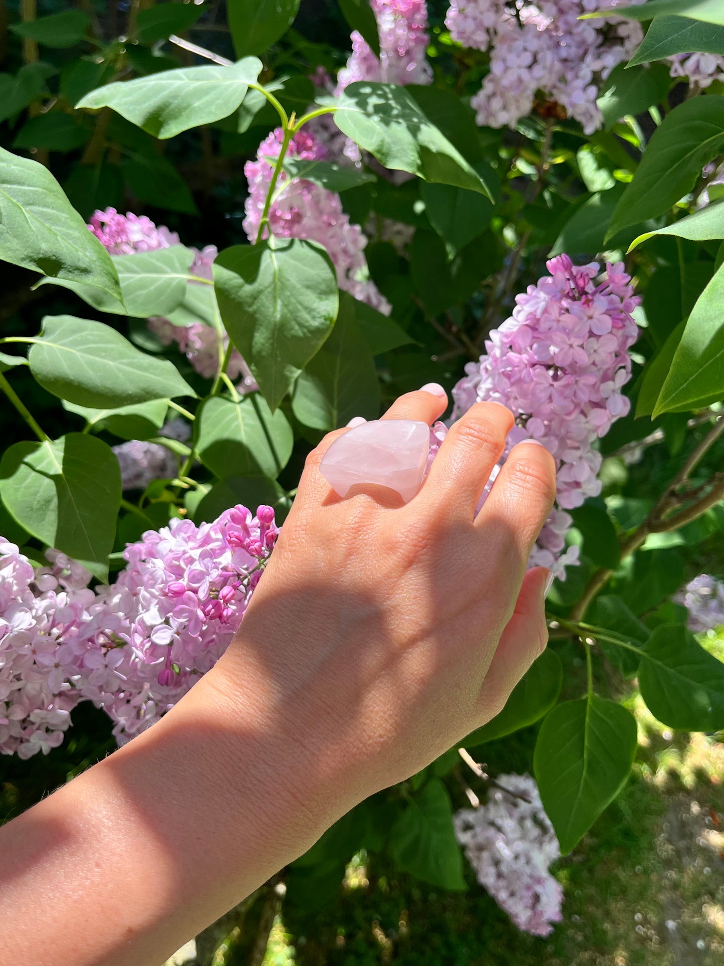 “The Rose Embrace” Smooth Rose Quartz Statement Ring