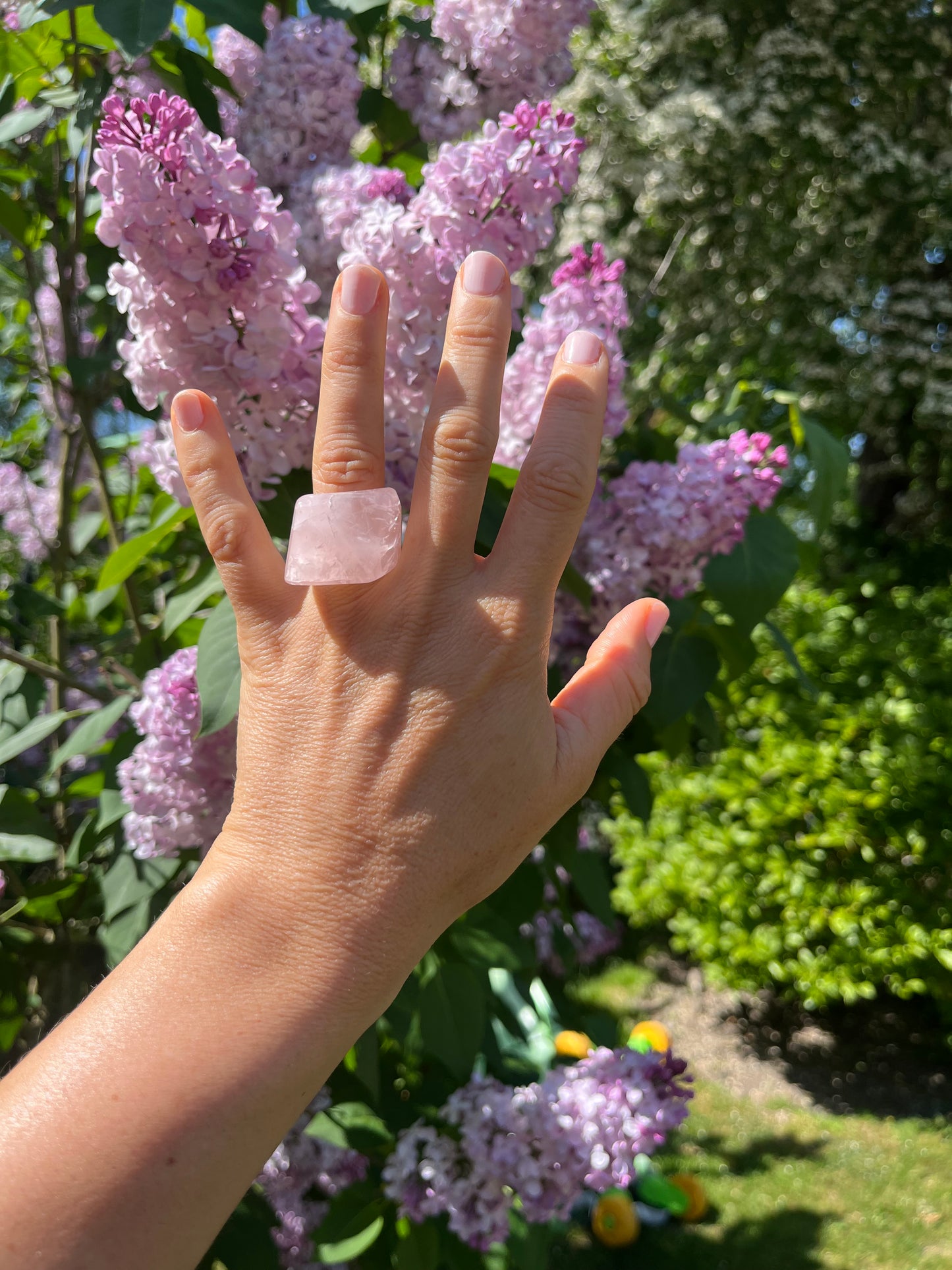 “The Rose Embrace” Smooth Rose Quartz Statement Ring