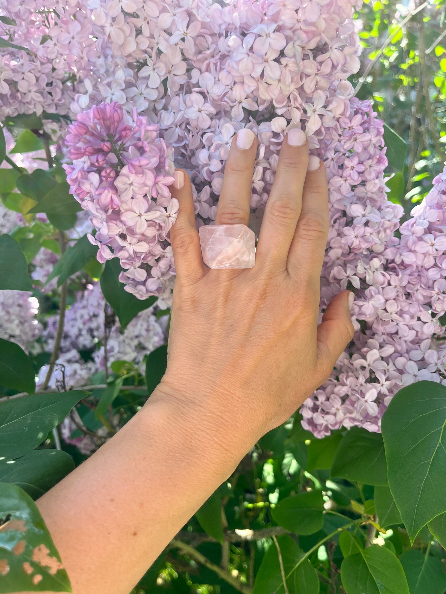 “The Rose Embrace” Smooth Rose Quartz Statement Ring