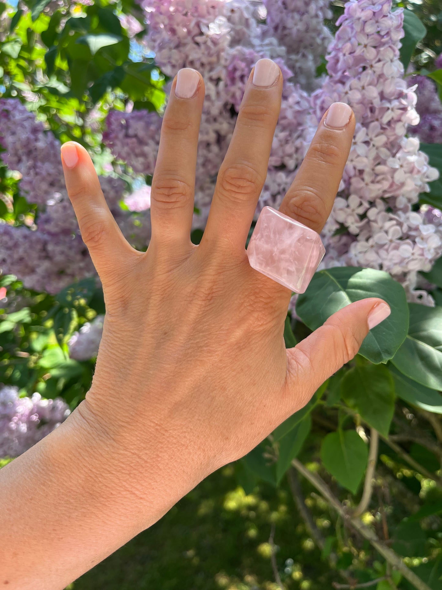“The Rose Embrace” Smooth Rose Quartz Statement Ring