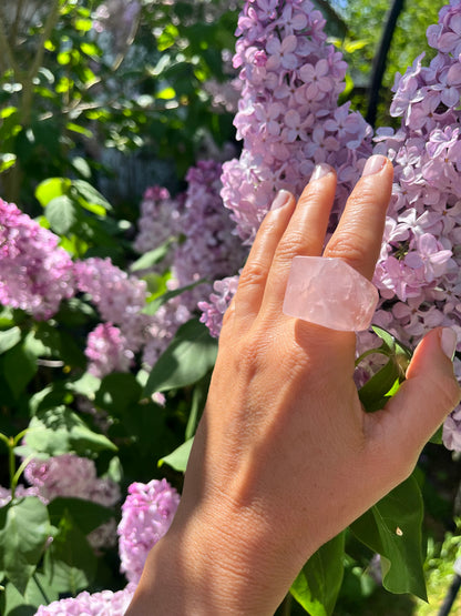 “The Rose Embrace” Smooth Rose Quartz Statement Ring