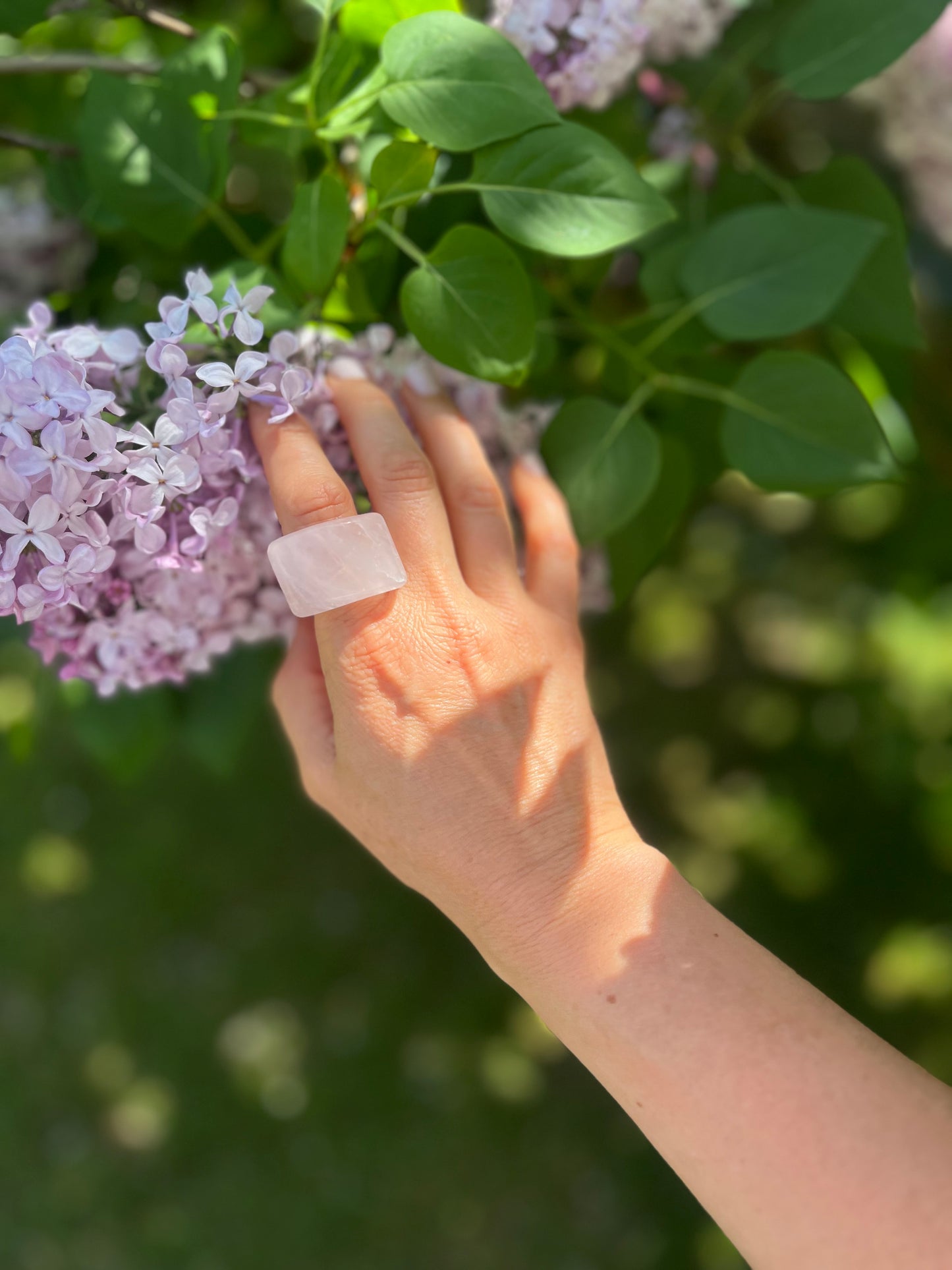 “The Rose Embrace” Smooth Rose Quartz Statement Ring